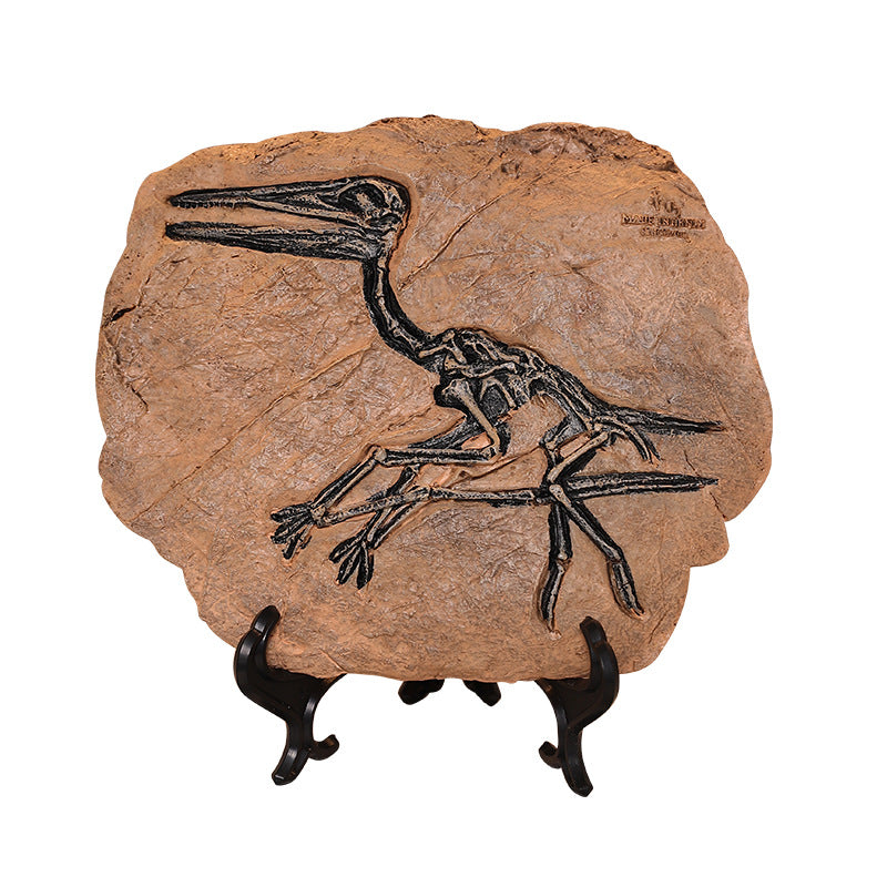 Creative Simulation Dinosaur Fossil Ornaments