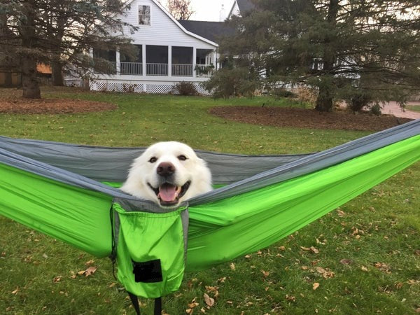 Camping Hammock with Straps Bundle