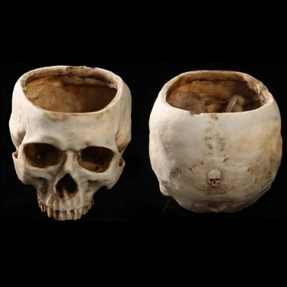 Human Skull Bowl