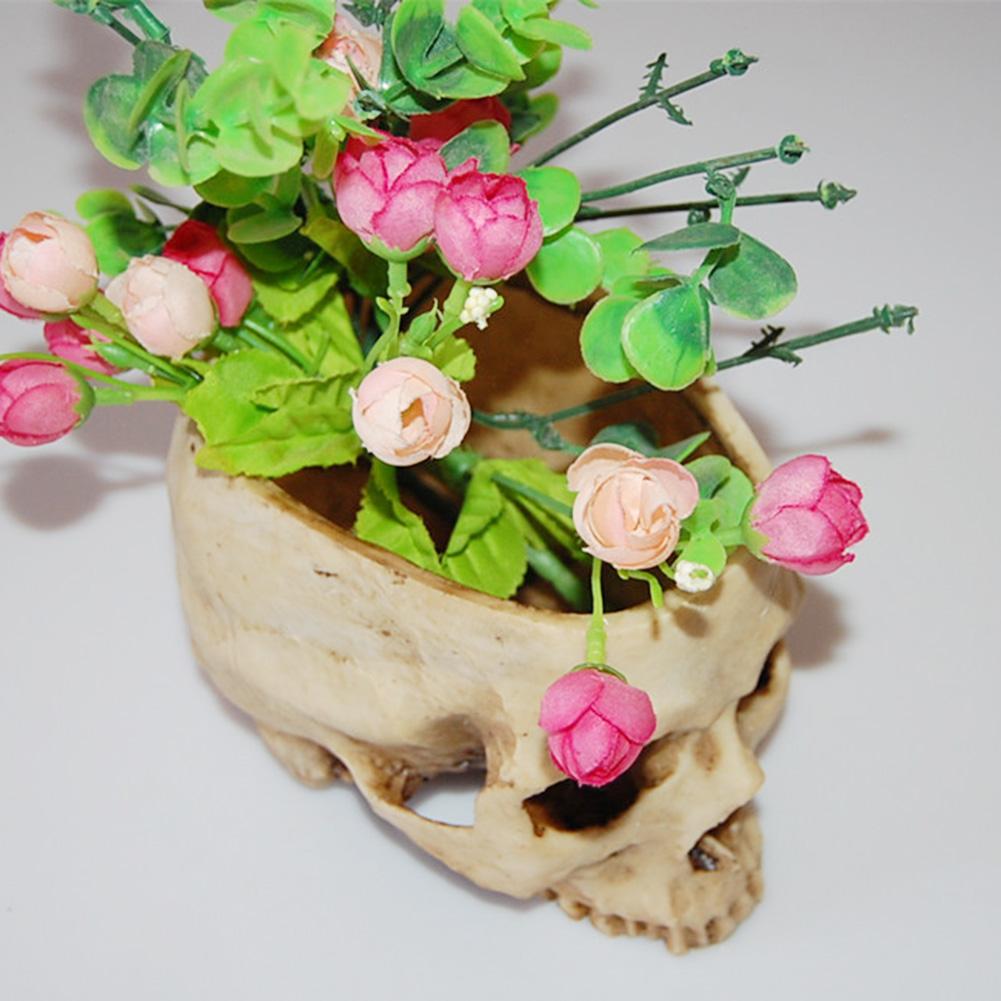 Human Skull Bowl