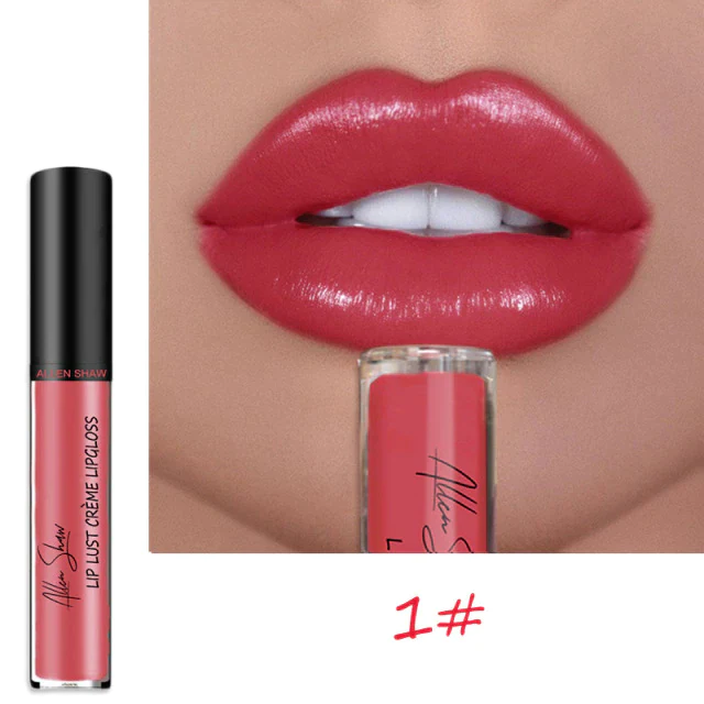 12 COLOR WATERPROOF LONG LASTING MOIST LIP GLOSS PLUMPER LIQUID LIPSTICK