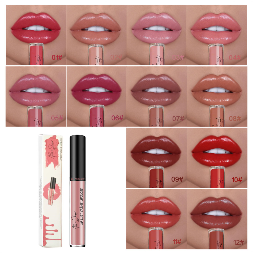 12 COLOR WATERPROOF LONG LASTING MOIST LIP GLOSS PLUMPER LIQUID LIPSTICK