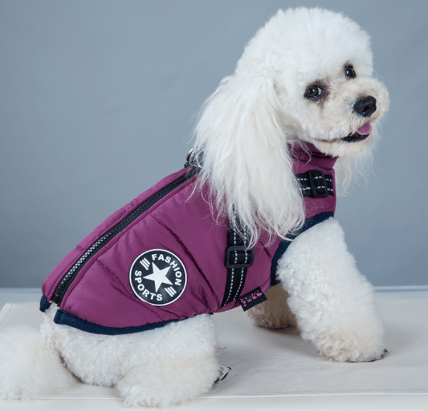 Waterproof Winter Pet Jacket with Built-in Harness