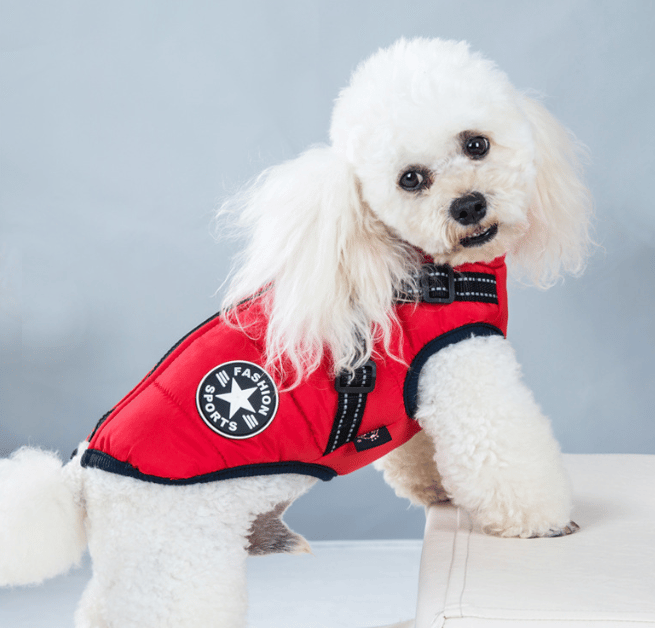 Waterproof Winter Pet Jacket with Built-in Harness